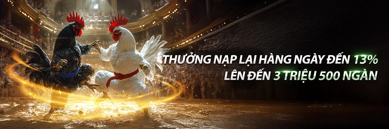 Hình ảnh tổng quan về tin tức gowin code và các ưu đãi hấp dẫn